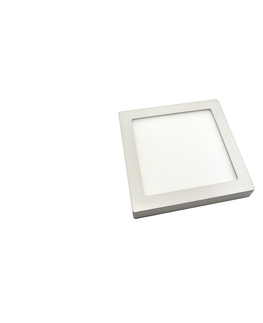 Svietidlá  LED stropné svietidlo RIKI-P LED SMD/18W/230V 225x225 mm 