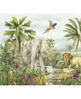 Tapety Detská fototapeta Colourful Jungle 252 x 182 cm, 4 diely