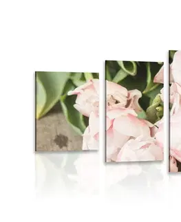 Obrazy kvetov 5-dielny obraz romantická kytica