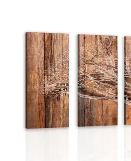 Obrazy prírody a krajiny 5-dielny obraz strom na drevenom podklade