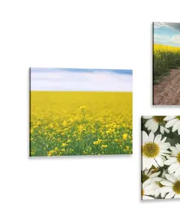 Zostavy obrazov Set obrazov lúka plná kvetov