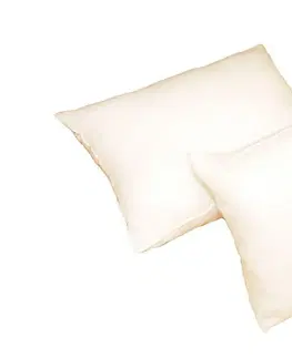 Prikrývky na spanie Forbyt, Výplň do vankúša, biely, 40 x 60 cm, obdélník