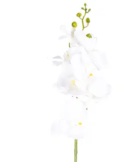 Kvety Umelá Orchidea čisto biela, 86 cm