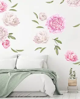 Nálepky na stenu Samolepiace tapety kvetov - Pivonky