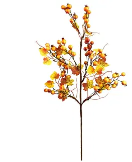 Kvety Jesenná vetvička so šípkami, 60 x 15 cm