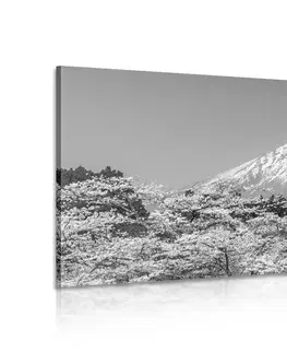 Čiernobiele obrazy Obraz hora Fuji v čiernobielom prevedení