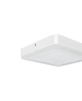 Svietidlá Ledvance Ledvance - LED Stropné svietidlo CLICK LED/15W/230V 