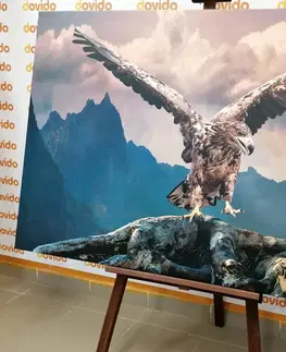 Obrazy zvierat Obraz orol s roztiahnutými krídlami nad horami