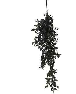 Kvety Umelá závesná rastlina Adie zelená, 80 cm 