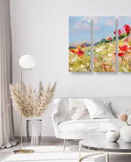 Obrazy kvetov 5-dielny obraz maľované maky na lúke