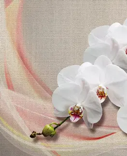 Tapety kvety Tapeta biela orchidea na plátne