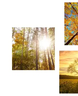 Zostavy obrazov Set obrazov čaro jesennej krajiny