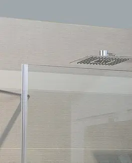 Sprchy a sprchové panely SAPHO - SLIM hlavová sprcha zo steny 220x500x2,4, hranatá, nerez mat MS733