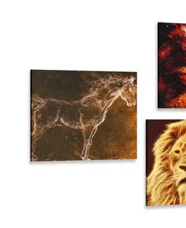 Zostavy obrazov Set obrazov tajomná abstrakcia zvierat