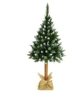 Vianočné stromčeky NABBI Christee 5 vianočný stromček na pni 220 cm zelená / biela