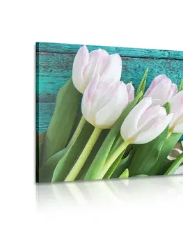 Obrazy kvetov Obraz kytica tulipánov a obálka