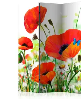 Paravány Paraván Country poppies Dekorhome 135x172 cm (3-dielny)