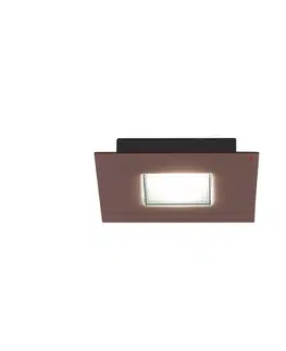 Stropné svietidlá Fabbian Fabbian Quarter hnedé stropné LED svetlo 2-pl.