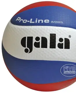 Volejbalové lopty Volejbalová lopta GALA Pro-Line BV5591S