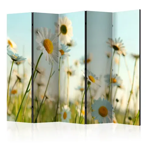 Paravány Paraván Daisies - spring meadow Dekorhome 225x172 cm (5-dielny)