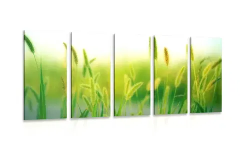Obrazy prírody a krajiny 5-dielny obraz steblá trávy v zelenom prevedení