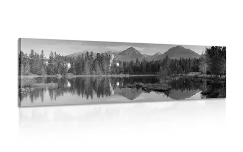 Čiernobiele obrazy Obraz nádherná panoráma hôr pri jazere v čiernobielom prevedení
