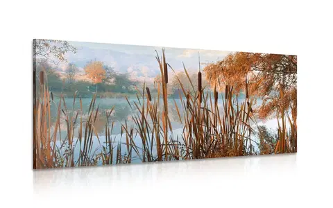 Obrazy prírody a krajiny Obraz rieka uprostred jesennej prírody