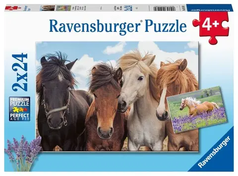 Hračky puzzle RAVENSBURGER - Fotky Koní 2X24 Dielikov
