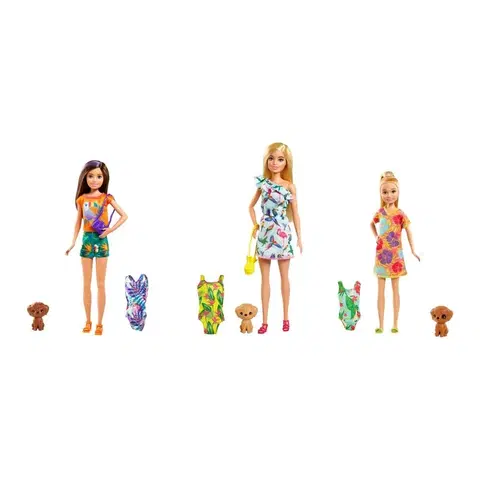 Hračky bábiky MATTEL - Barbie Dha Sestra S Plavkami, Mix Produktov