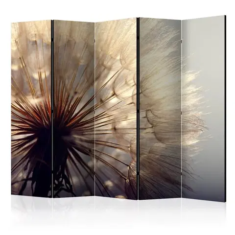 Paravány Paraván Dandelion Kiss Dekorhome 225x172 cm (5-dielny)