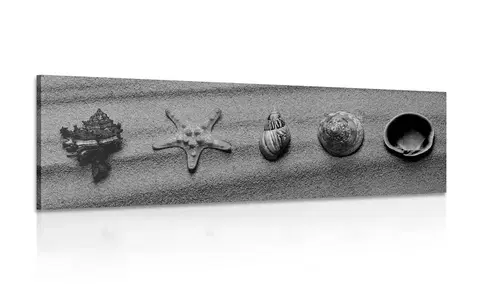 Čiernobiele obrazy Obraz mušle na piesočnatej pláži v čiernobielom prevedení