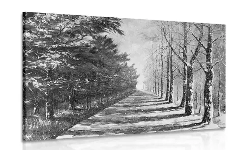 Čiernobiele obrazy Obraz jesenná alej stromov v čiernobielom prevedení
