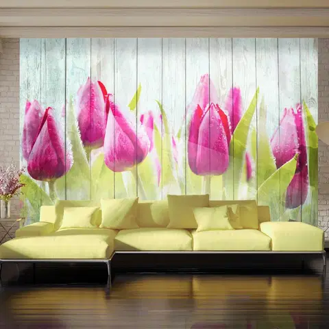 Tapety kvety Fototapeta tulipány na dreve - Tulips on white wood