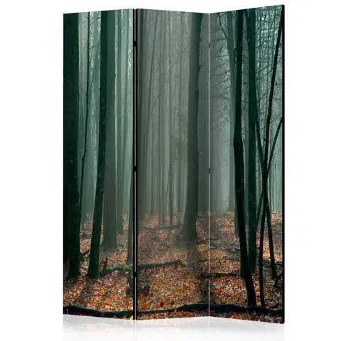 Paravány Paraván Witches' forest Dekorhome 135x172 cm (3-dielny)