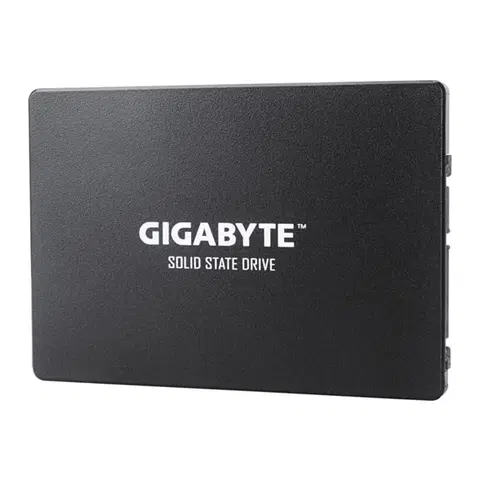 Pevné disky GIGABYTE SSD disk 1 TB GP-GSTFS31100TNTD