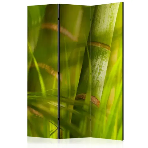 Paravány Paraván Bamboo - nature zen Dekorhome 135x172 cm (3-dielny)
