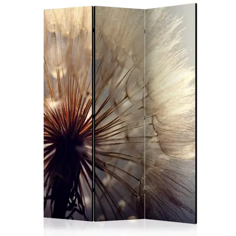 Paravány Paraván Dandelion Kiss Dekorhome 135x172 cm (3-dielny)