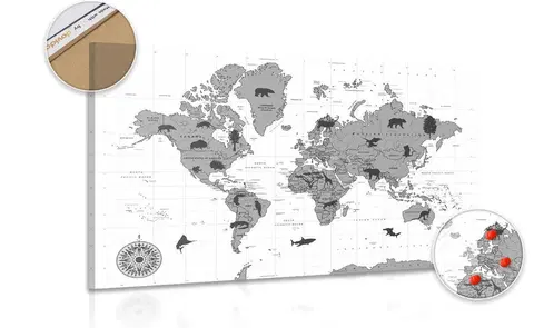 Obrazy na korku Obraz na korku mapa so zvieratami v čiernobielom prevedení