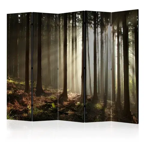 Paravány Paraván Coniferous forest Dekorhome 225x172 cm (5-dielny)