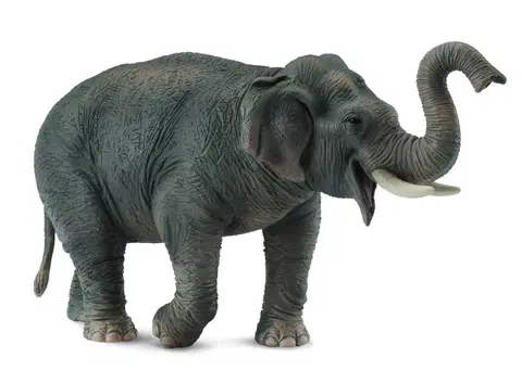 Hračky - figprky zvierat COLLECTA - Slon Ázijský