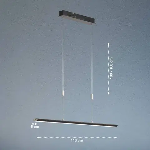 Závesné svietidlá FISCHER & HONSEL Závesné svetlo Beat LED, čierna/niklová farba, dĺžka 113 cm