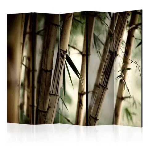 Paravány Paraván Fog and bamboo forest Dekorhome 225x172 cm (5-dielny)