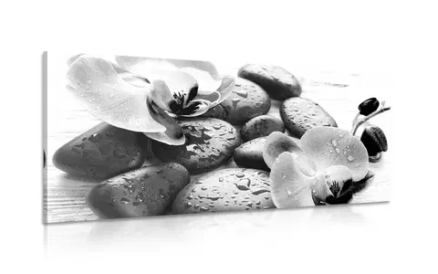 Čiernobiele obrazy Obraz kúzelná súhra kameňov a orchidey v čiernobielom prevedení
