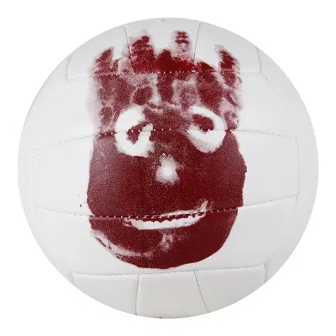 Volejbalové lopty Wilson Mr.Wilson size: 5