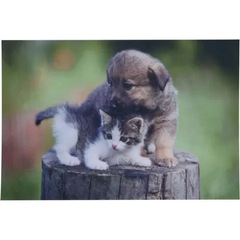 Koberce a koberčeky Rohožka Mačiatko a šteňa, 38 x 58 cm