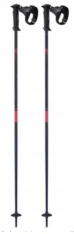 Zjazdové palice Salomon X10 Ergo S3 110 cm