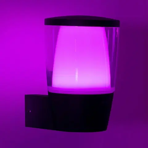 SmartHome vonkajšie svietidlá nástenné WiZ WiZ vonkajšie LED svietidlo Elpas RGBW, čierna