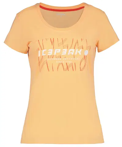 Pánske tričká Icepeak Belcher T-shirt W L