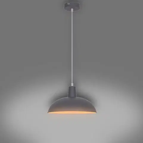 Moderné lampy do obývačky Luster  F19002-1P LW1