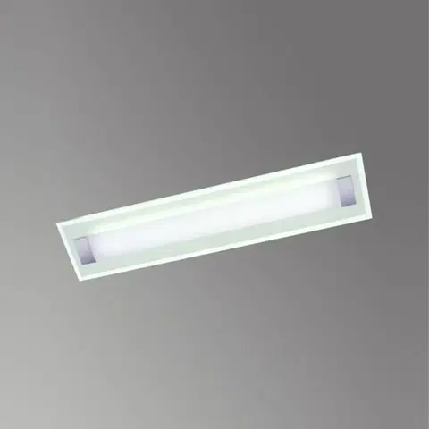 Stropné svietidlá Hufnagel Stropné LED svietidlo Xena L s ESG